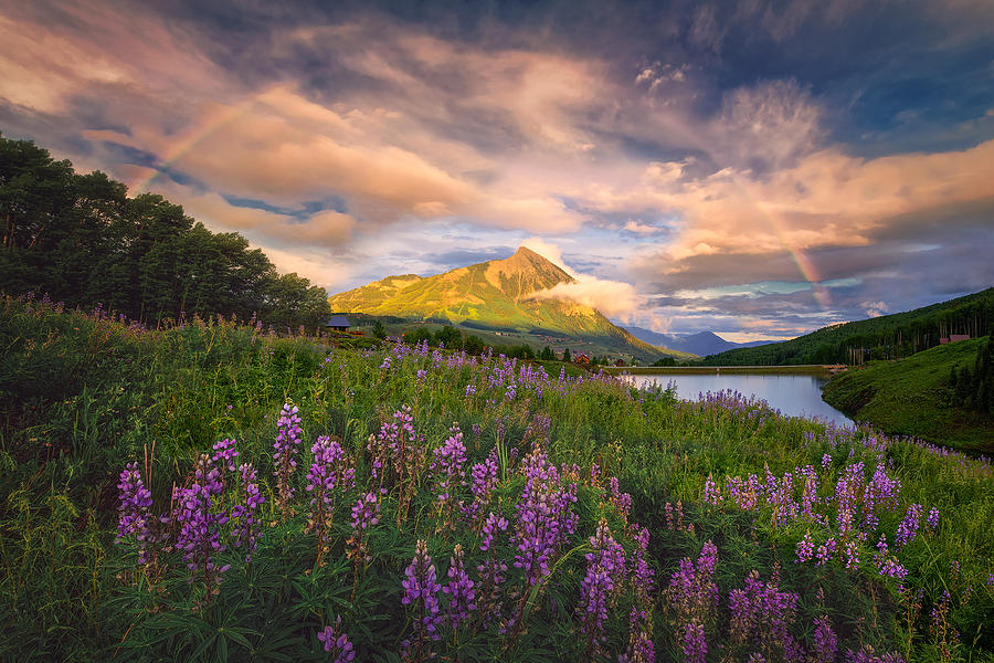 Rainbow Over Crested Butte Image